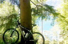 PeThe`s No 1 - Foto 36