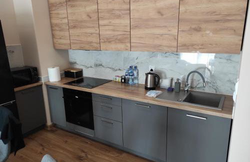 Grand Apartament nad Iławką - Foto 23