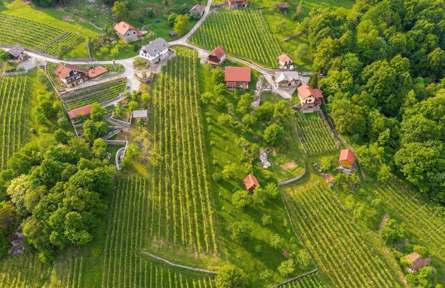 Vineyard Homestead Vrtin - Foto 55