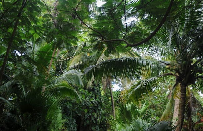 Tranquility Cove - Foto 35