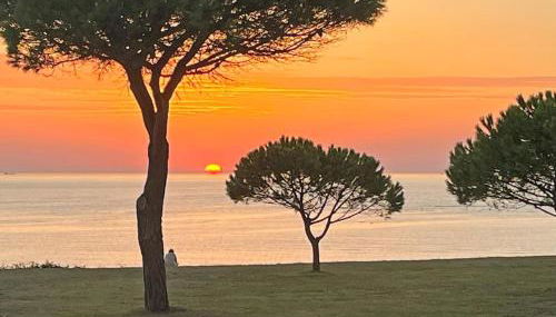 Magnifique appartement vue îles et océan-seaside- - Foto 5, Garden