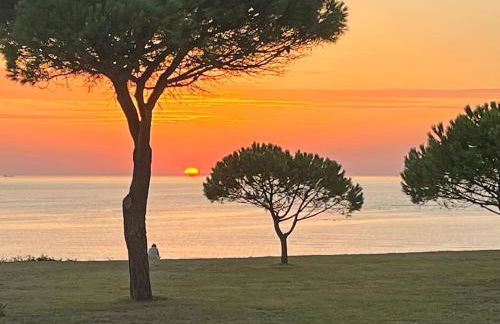 Magnifique appartement vue îles et océan-seaside- - Foto 5