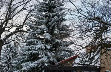 Beautiful Mountain Home - Photo 36