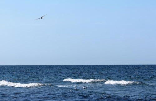 Möve Aba Bungalow 64 - Foto 23