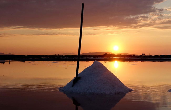 Trapani, Erice & Mozia Day Trip - Photo 7