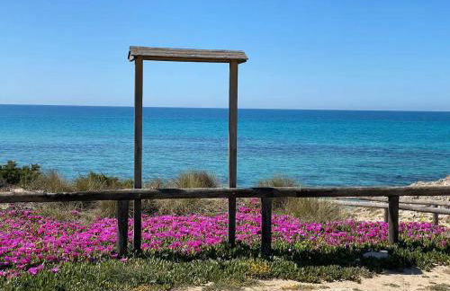 Il Sole e l'Azzurro - Foto 6