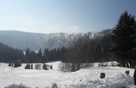 Gîte Eau-Vive, à 15kms de Colmar - Foto 7