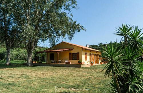 Podere Il Ritorno - Foto 12