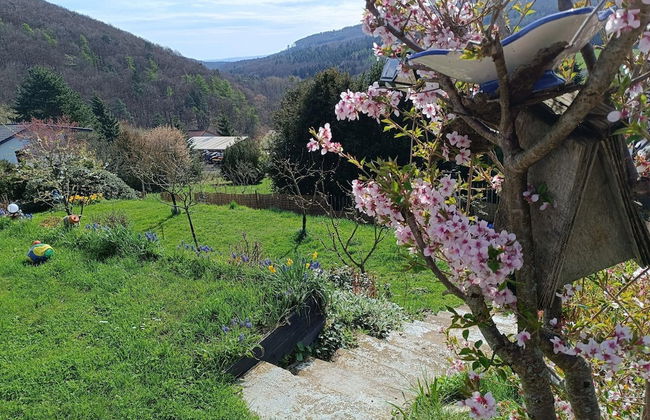 Ferienwohnung mit Bergblick - Foto 37