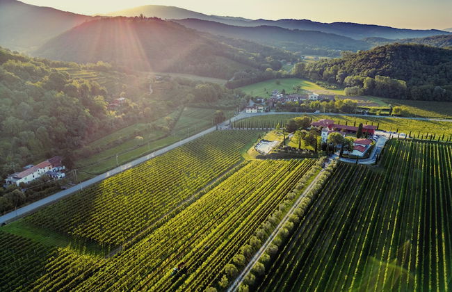 Il Roncal Wine Resort - Foto 1