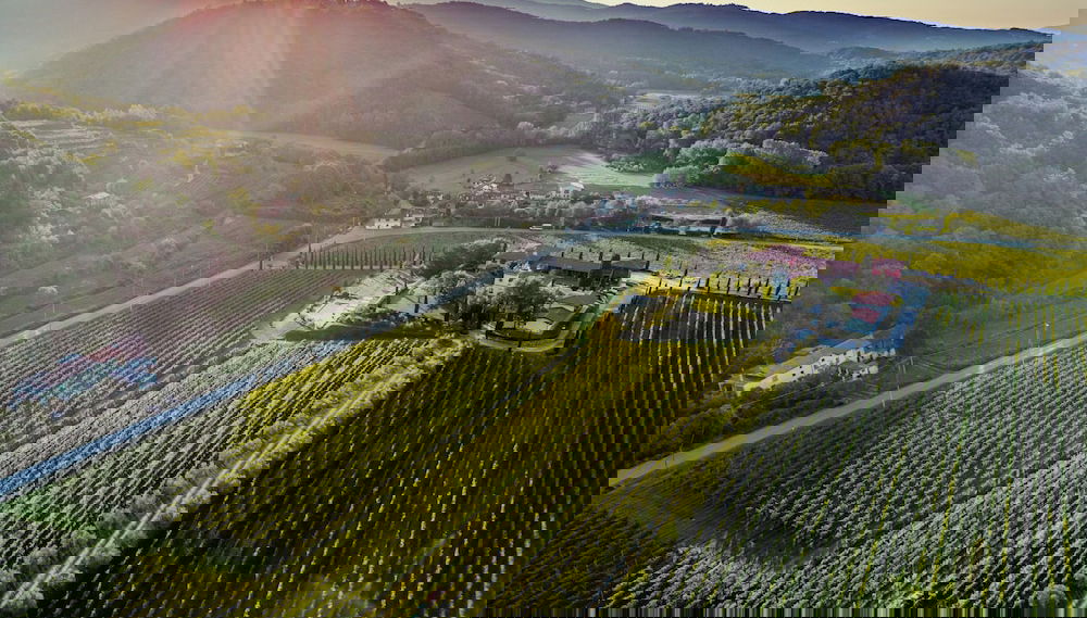 Il Roncal Wine Resort - Foto 1, Imagem principal