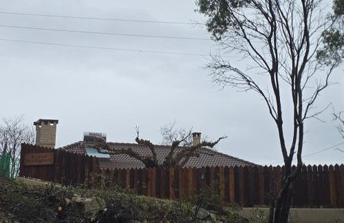 Κτήμα Βασίληγιάννη - Foto 70