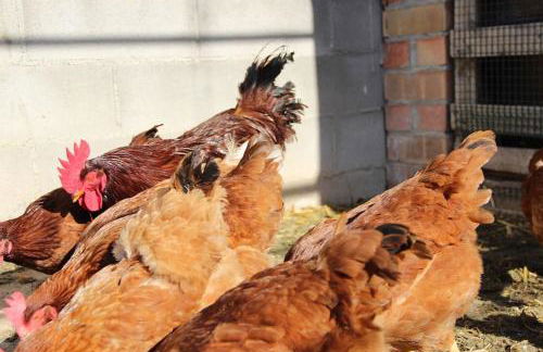 Casa Rural Espasa - Foto 19