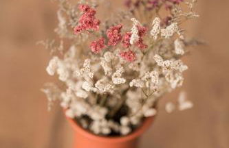 Ermal Terrace - Foto 57