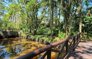 Casa Marítima de Luxo: Praia da Baleia - Foto 43