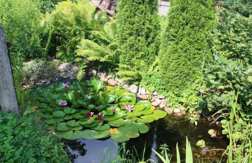 Agroturystyka KAMA - Foto 26