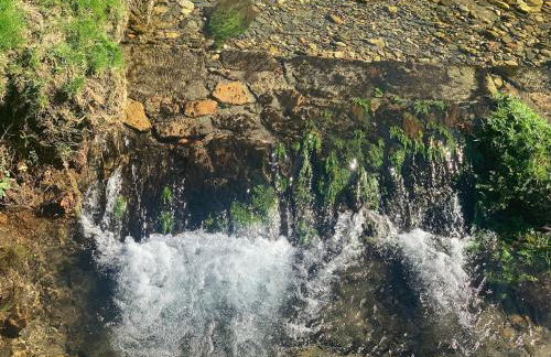 Oliveira's Little House - Foto 25