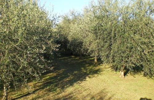 Tenuta Fortelongo - Foto 116