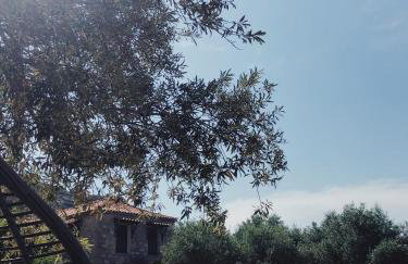 Villa Gaia - Foto 67