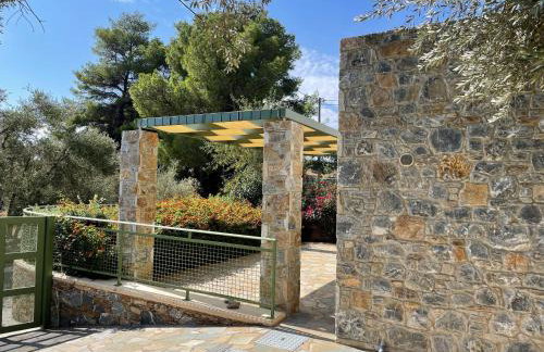 Ouzo Stone Studio - Foto 14