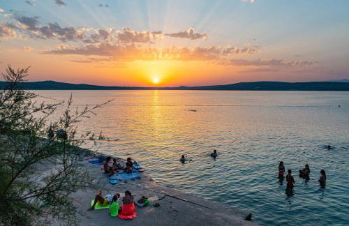 Marin Novigrad - Foto 19