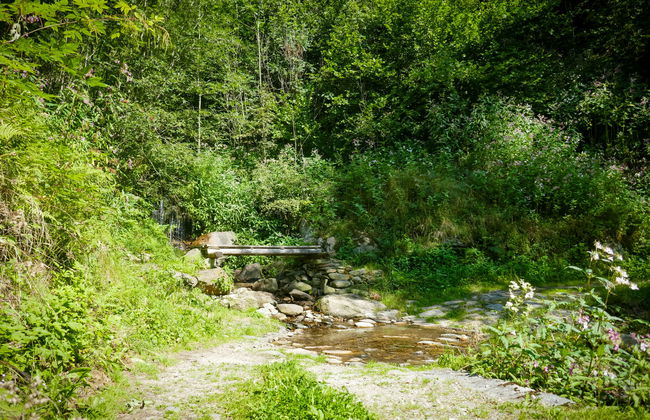 Rustico Girasole - Foto 28