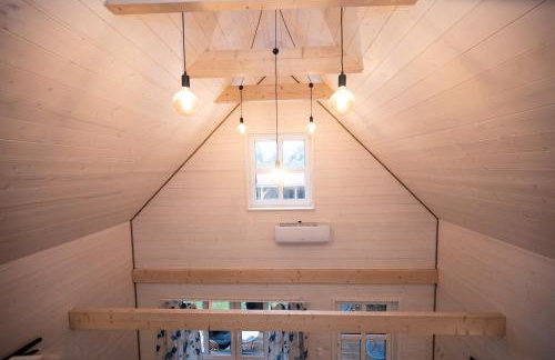 Kwiat Paproci - Foto 21