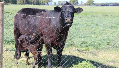 Podere Del Gesso - Foto 3