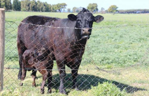 Podere Del Gesso - Foto 3