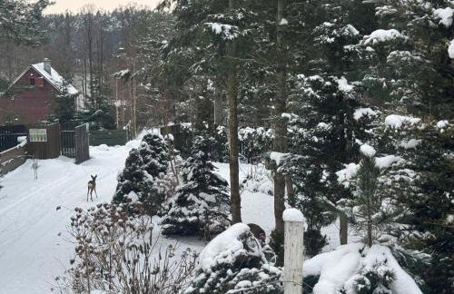 Mazurska Riwiera - Foto 34