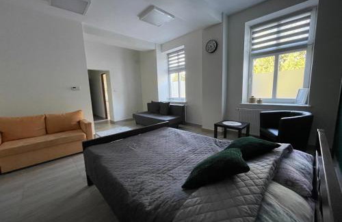 Apartamenty Trzciana - Foto 1