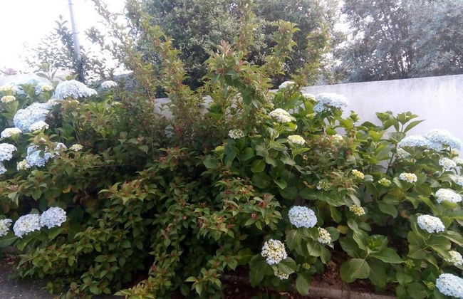 Apartment With 2 Bedrooms in Urqueira, With Wonderful Mountain View, Pool Access, Enclosed Garden - Foto 22