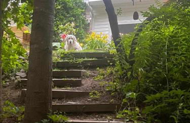 Modern 3-BR Townhome w Private Backyard Near RTP - Foto 75