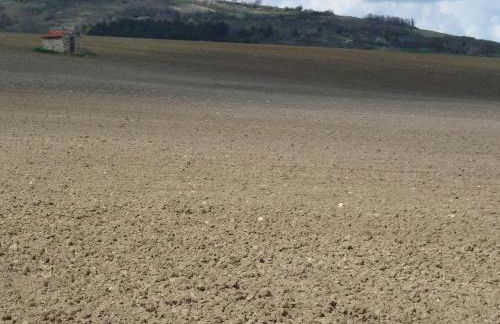 La Roche Pérégrine - Photo 55