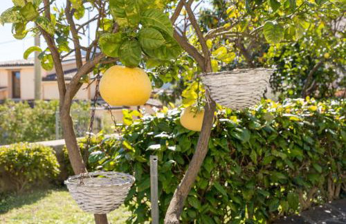 Le Lantane 2 - Photo 21