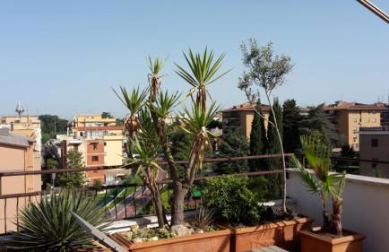 Appartamento con Terrazza vicino Gemelli e Vaticano - Foto 21