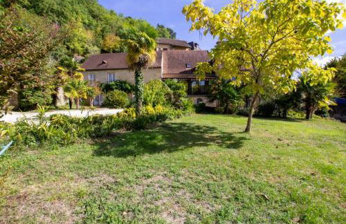 Les palmiers - Foto 18