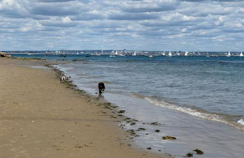 Suzetta Cottage - Photo 54