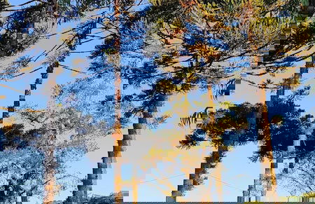 Cabanas Loft Paraíso - Foto 17