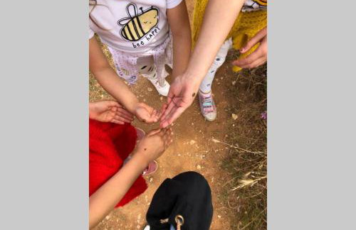 Villa Stanzietta Novigrad for 10 at Olive orchard - Foto 70