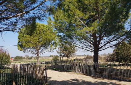 Domaine de L'Outarde Canepetiére Gîte A - Foto 12