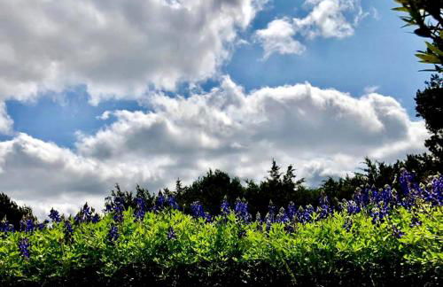 Blue Bird Cabin with Hot Tub in Texas Hill Country - Foto 9