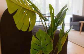 Brunnenblick Gastromeile, City, Messe & Stadionnah - Photo 14