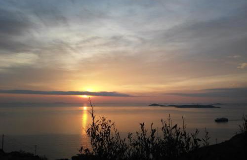 Sarris Planet - Photo 49