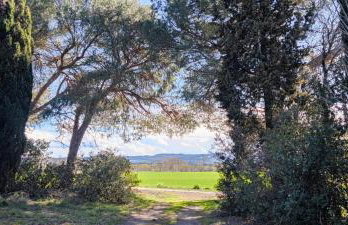 Les jardins du Canal - Foto 20