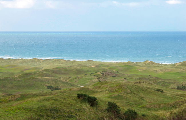 Les Oiseaux - Foto 18