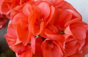 Casa di Giulia (Bambini gratis fino a 6 anni) - Foto 34