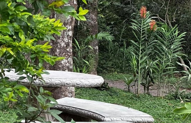 Cabañas Roca Verde Monteverde - Foto 55