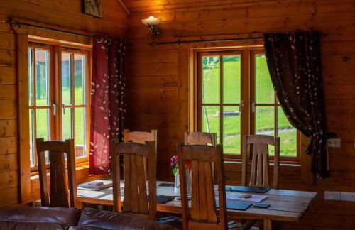 George Cabin - Log Cabin in Wales with Hot tub - Foto 20
