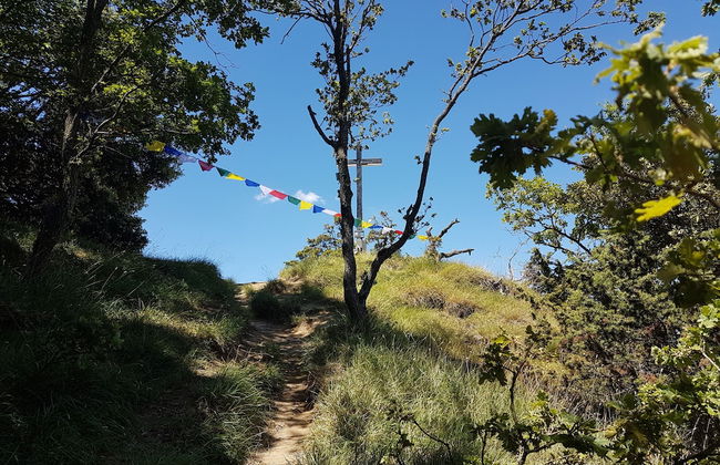 Agriturismo Piccola Raieda - Photo 31